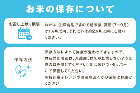 【令和５年産】無洗米 特別栽培米「匠のつや姫」 5kg×2袋 米 白米 精米 無洗米 特別栽培米 つや姫 合計 10kg 10キロ 【1801】