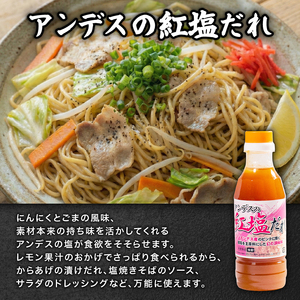 【創業90年 老舗地ソースメーカー】ポン酢 焼肉のタレ 紅塩ダレ セット