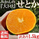 【ふるさと納税】みかん の大トロ せとか 1500g 訳あり ブランド 和歌山 有田みかん 農家直送 オレンジ フルーツ 果物