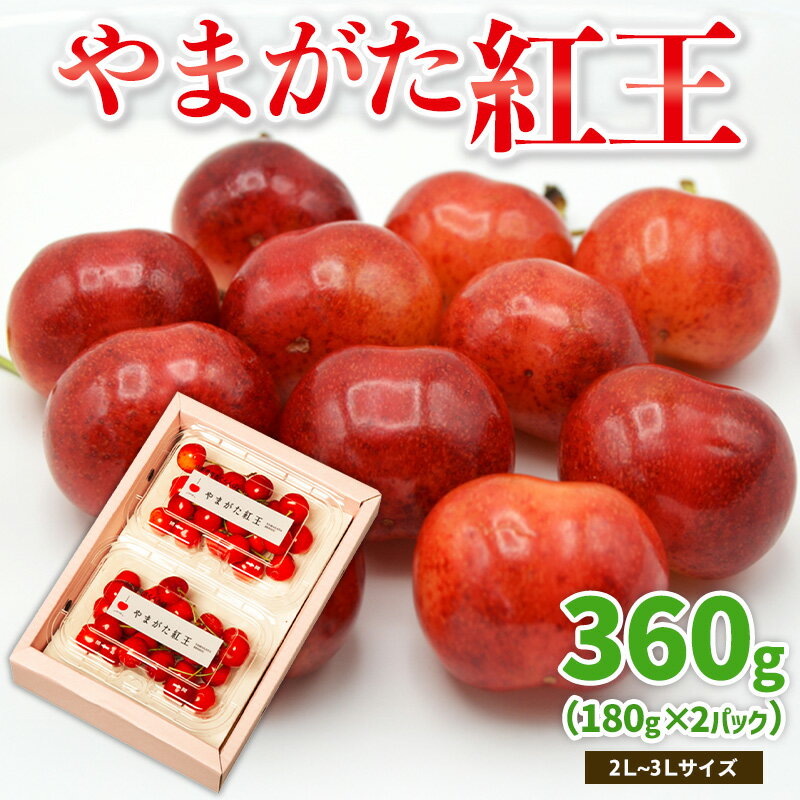 【ふるさと納税】やまがた紅王 約360g 2～3Lサイズ (180g×2パック) 【令和8年産先行予約】FS25-019