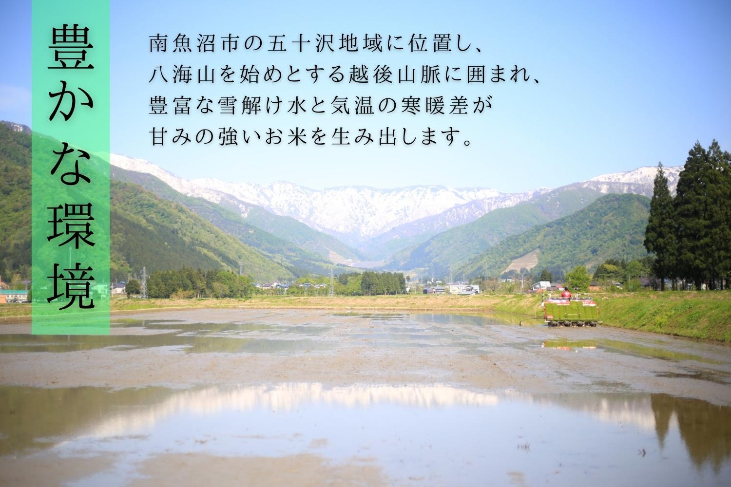 【定期便】（全6ヶ月）もっちり甘い！南魚沼産コシヒカリ 白米5kg ひらくの里ファーム