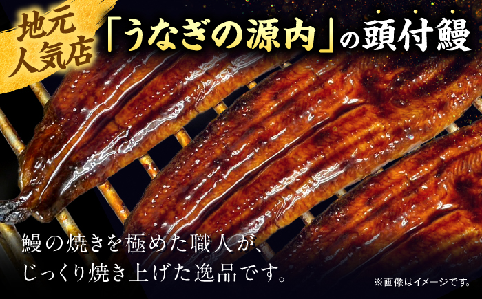 国産うなぎの蒲焼×5尾（頭付き）鰻 ウナギ かば焼き 島根県松江市/うなぎの源内 [ALHE003]