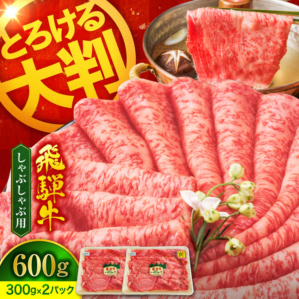 【ふるさと納税】A5ランク 飛騨牛 しゃぶしゃぶ用 600g（300g×2）【有限会社マルゴー】牛肉 和牛 国産 [MBE066]