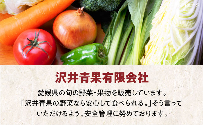 【先行予約】【11月初旬より順次発送】寒さを忘れる美味しいお鍋！肱川ゆず紀行 特製ゆずポン酢と新鮮野菜の鍋セット（3〜4人前）　愛媛県大洲市/沢井青果有限会社 [AGBN028]鍋パーティ しゃぶしゃ