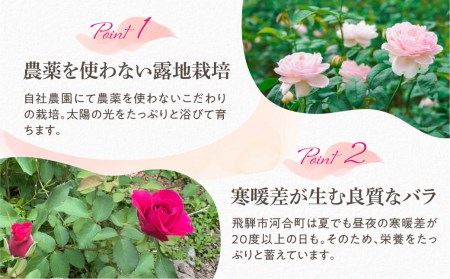 先行予約【6～9月中旬発送】食用バラ50g 薔薇 食べるバラ 花[Q1381pi] seas24