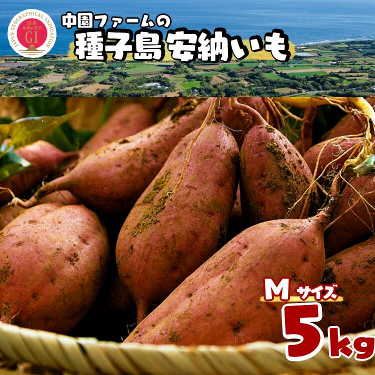 【ふるさと納税】＼ 新物 順次発送中 ／ 種子島 安納いも ＼ Mサイズ 生いも 5kg ／ 中園ファーム ふるさと納税 さつまいも 生芋 ふるさと納税 焼き芋 ホクホク ねっとり 蜜が出るほど 甘い 安納芋 芋 ふるさと 人気 ランキング