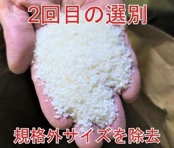 【定期便×6回】5kg 大手有名百貨店出荷米 あきたこまち 令和5年産米