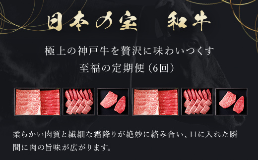 【毎月定期便】和牛セレブの神戸牛定期便「ビジネスクラス」全6回【配送不可地域：離島】 AS33M3