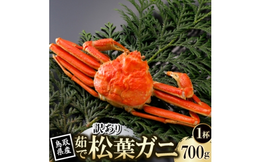 ＜先行予約＞鳥取県産 訳あり 茹 松葉がに 700g×1杯(中村商店)2026年11月発送【1654054】