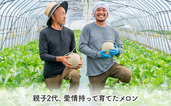 【2026年夏発送】北海道 富良野産 青肉メロン 2玉 計2.8kg以上