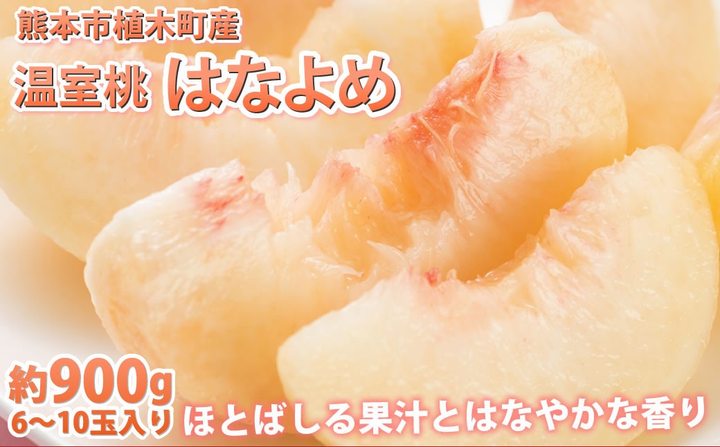 
                  桃 はなよめ 秀品 約900g 6-10玉入り お取り寄せ クール便でお届け 温室桃 熊本植木産 千代姫 日川白凰 白凰 もも ピーチ フルーツ 冷蔵 【2026年5月下旬～6月下旬迄順次発送予定】
                