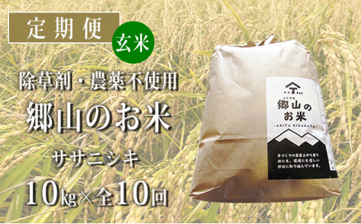 
定期便 10kg×10ヶ月 農薬・除草剤不使用 体に優しいササニシキ「郷山のお米」（5kg×2袋）
