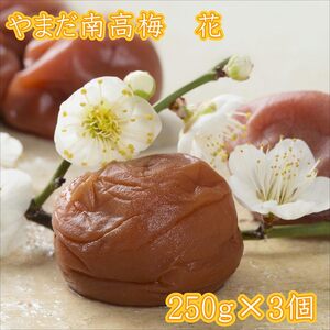 【0744-5】やまだ南高梅　花（250ｇ×３個）
