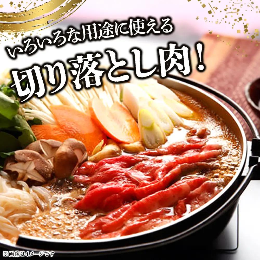 【寄附額見直しました！】小田原 中川食肉おすすめ　かながわブランド　相州切り落とし肉1kg【牛切り落とし】