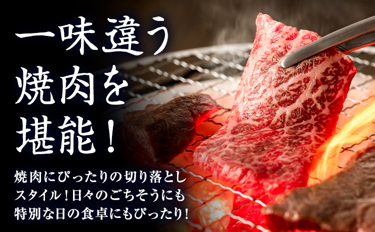 GI認証取得 くまもとあか牛 焼肉用 切り落とし 300g×2パック 合計600g あか牛 切落し 牛肉 肉 国産 九州産 熊本県産 冷凍《30日以内に出荷(土日祝除く)》