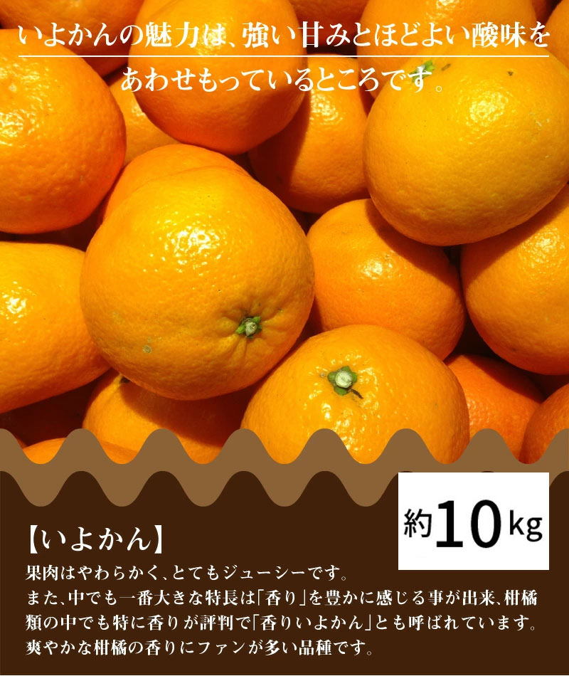 M02-0094_三豊市産いよかん 約10kg