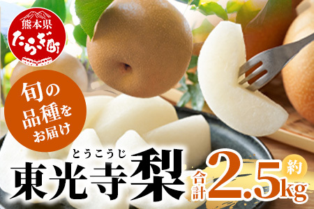 【7月下旬～10月発送】東光寺 梨 2.5kg (5～7玉) 1箱 025-0573