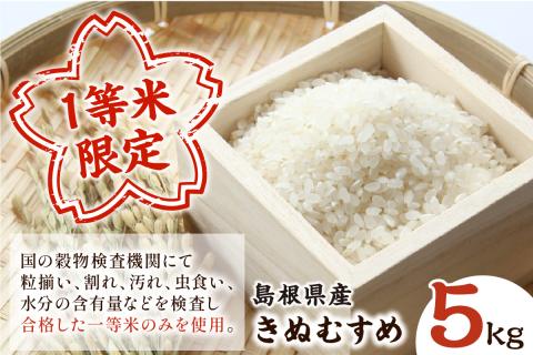 【令和6年産】石見産きぬむすめ5kg 白米 玄米 選択可 お取り寄せ 特産 お米 精米 ごはん ご飯 コメ 新生活 応援 準備 5キロ 【970】