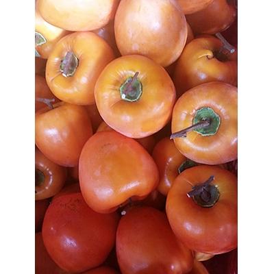 ふるさと納税 山梨市 【甲州銘菓数量限定】手作り甲州百目枯露柿12〜20個2号化粧箱入り |  | 03