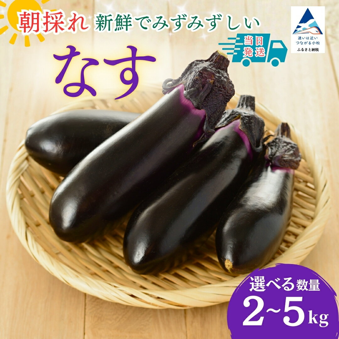 【ふるさと納税】【先行予約】なす 選べる 2kg (20個以上) / 3kg (30個以上) / 4kg (40個以上) / 5kg (50個以上) なす ナス 茄子 野菜 | 石川県 小松市 JAあぐり 006039