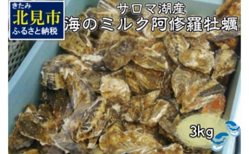 【予約：2024年10月中旬から順次発送】サロマ湖産 海のミルク 阿修羅牡蠣 3kg ( 期間限定 新鮮 生食 生ガキ カキ かき 3キロ 道産 オホーツク海産 海鮮 魚介類 貝類 生 )【031-0