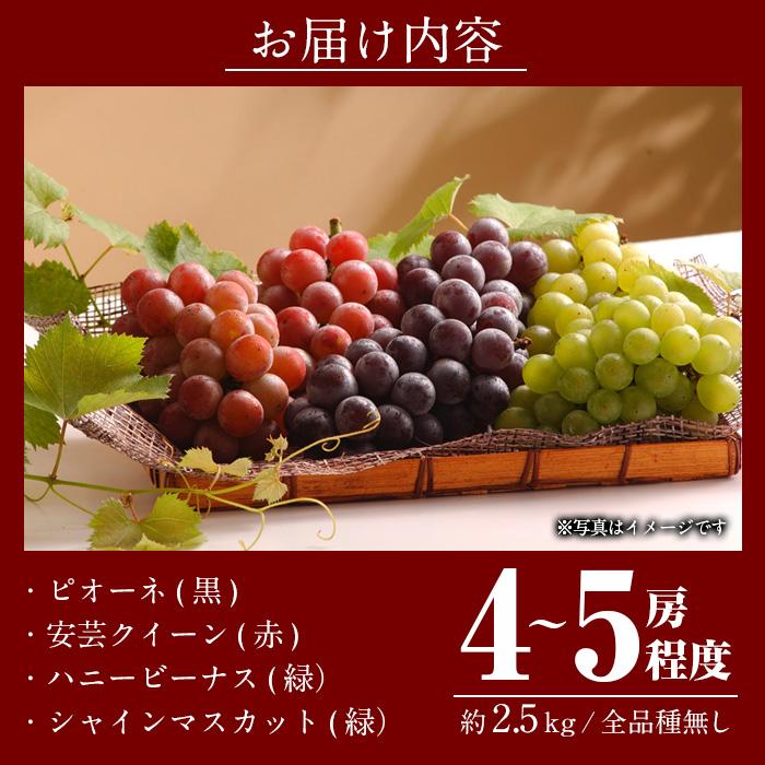 ＜先行予約受付中！2025年9月以降順次発送予定＞宇目葡萄 3種詰め合わせ＋シャインマスカット入り(合計2.5kg・4〜5房) ピオーネ 安芸クイーン ハニービーナス ぶどう 種なし 大分県 佐伯市【