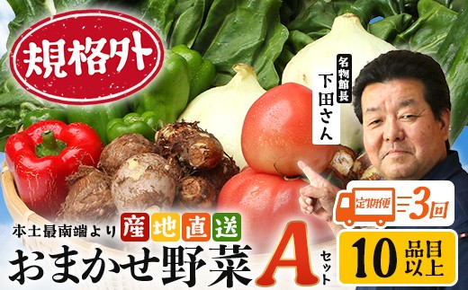 
                  【定期便全3回】【規格外】本土最南端から 旬のおまかせ野菜セットA 10品目以上  NI-4 ｜ 旬 野菜 やさい  果物 くだもの  産地直送  農産物 冷蔵 鹿児島県 南大隅町産  詰合せ  おまかせ 家庭用 訳あり なんたん市場
                
