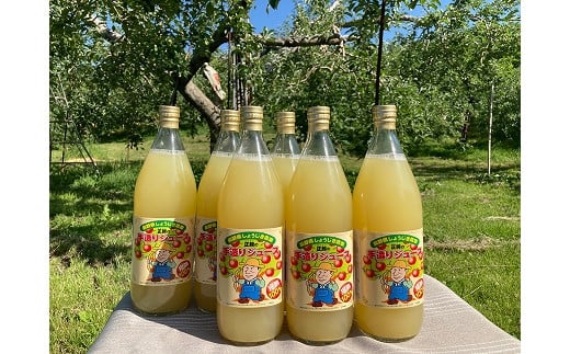 
片桐農園 100%サンふじりんごのストレートジュース　６本セット
