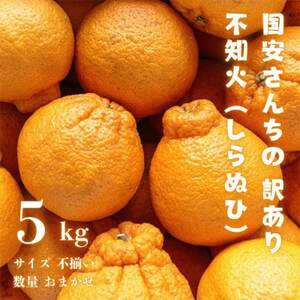 【糖度14.0以上酸1.4以下】糖酸選別品 愛媛産 訳あり 不知火(しらぬひ)5kg【C20-64】【配送不可地域：離島】【1620236】