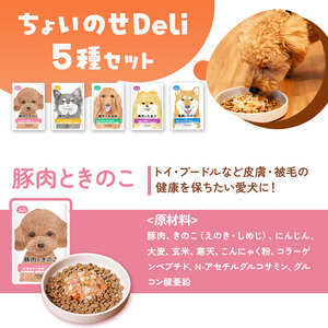 ちょいのせDeli 5種 × 各2袋 セット | ペット 愛犬 犬 ウェットフード 国産 ドッグフード 熊本県 玉名市