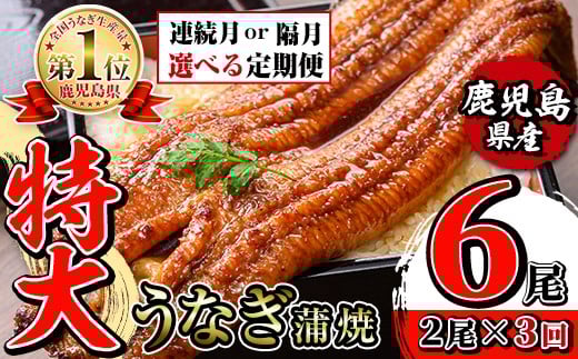 
            i1172 ＜定期便・計3回(連続月or隔月選べる！)＞＼特大サイズ／鹿児島県産 うなぎ蒲焼 2尾セット＜（約220g×2・計約440g）×全3回＞ 定期便 たれ 山椒付きうなぎ 鰻 ウナギ 特大 特大サイズ 約220g 蒲焼き 国産 鹿児島県産 焼きたて 生産量日本一 真空パック おかず 晩御飯 特別な日 土用の丑の日 【薩摩川内鰻】
          