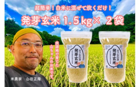 農家直送『山ちゃんの発芽玄米』1500g ×２袋【10月1日発送開始】