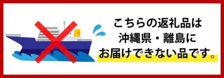 世界五大ビール審査会でトリプル受賞！妙高高原クラフトビール３種ギフトセット(500ml×6本)【新潟県妙高市】※沖縄県・離島配送不可