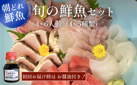 【配送地域限定】産地直送 氷見漁港 朝どれ鮮魚お刺身セット（4-6人前） お届け曜日指定なし 