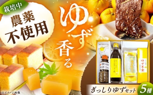 かさぎのゆず ぎっしりゆずセット / ゆず ポン酢 ぽんず 柚子 セット 焼肉のたれ カステラ 羊羹 ようかん 柚餅子 かすてら 和菓子 お菓子 スイーツ デザート おやつ 詰め合わせ 調味料 お茶菓子 お茶請け 手土産 お土産 お取り寄せ 贈答 ギフト 岐阜県 / 恵那市 / かさぎゆず組合 [AUAW002]
