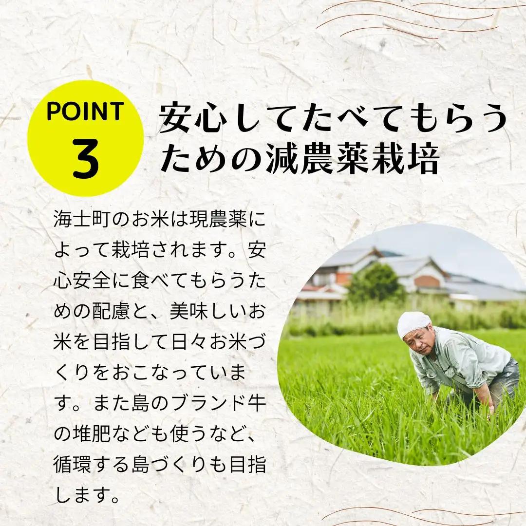 コシヒカリ 10kg ブランド 本氣米 精米 白米