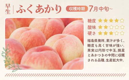 もも【ふくあかり・2026年産先行受付】特秀　3kg　桑折町産　JAふくしま未来　桃 ／ もも モモ 果物 フルーツ 旬 甘い 甘み ジューシー 果肉 果汁 新鮮 フレッシュ デザート おいしい 産地