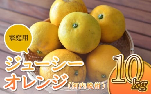 
                  ジューシーオレンジ（河内晩柑）家庭用 10kg【のむちゃん農園】【2026年4月上旬～7月上旬発送予定】
                