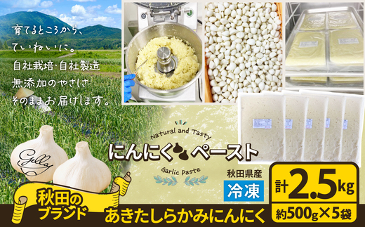 あきたしらかみにんにく 冷凍ペースト2.5kg 150P3202　/ にんにく ニンニク 東北 秋田 大館 国産 薬味 スタミナ 野菜 お得 大容量 2.5kg 2.5キロ ペースト 冷凍 すりおろしにんにく おろしにんにく ガーリック ガーリックペースト 小分け 便利