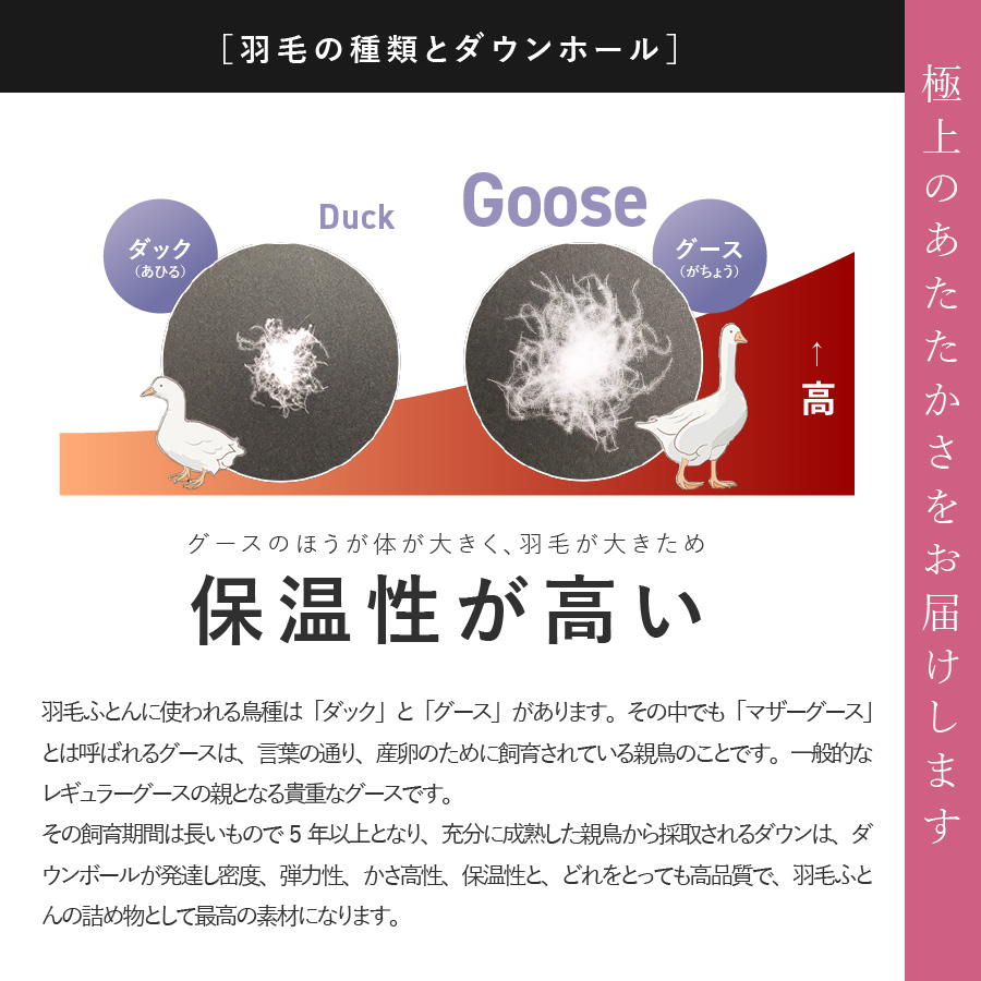 羽毛布団 肌布団 ハンガリープレミアムマザーグースダウン95%超長綿（ダブル）ホワイト【甲州羽毛ふとん】 掛け布団