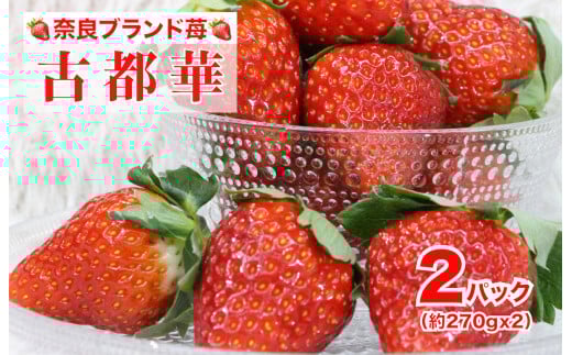 【2026年発送先行予約】苺 古都華(ことか) いちご 奈良 約270gx2パック 計540g 限定出荷 いちご 苺 奈良ブランド苺 イチゴ ブランド 古都華 大粒 苺 旬 産地 直送 フレッシュ フルーツ 果物 国産 ベリー 贈答用 プレゼント 人気苺 furusato苺 おすすめ苺 いちご農家 いちごいちごいちご