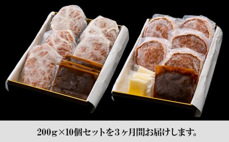 定期便3カ月 お楽しみ 白老牛 2種 食べ比べ ハンバーグ セット 合計10個 モッツァレラ ベーコン 網脂 特製ソース 手造り BY059