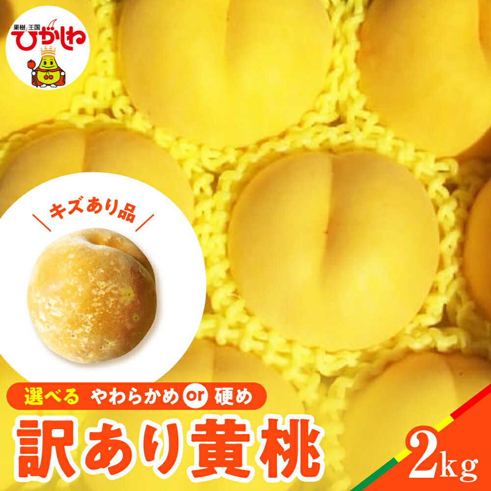 【ふるさと納税】【 2026年産 先行予約 】 黄桃 品種おまかせ 訳あり 2kg ( 硬め / やわらかめ ) | 桃 もも モモ ピーチ フルーツ 果物 くだもの 訳アリ 傷 規格外 不揃い 期間限定 冷蔵配送 先行予約 お取り寄せ グルメ ご当地 産地直送 特産 送料無料 東北 山形県 東根市