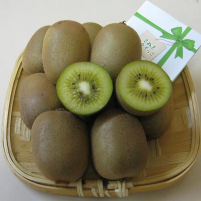 ふるさと納税 東かがわ市 【発送月固定定期便】東かがわ市フルーツ定期便全3回 |  | 02