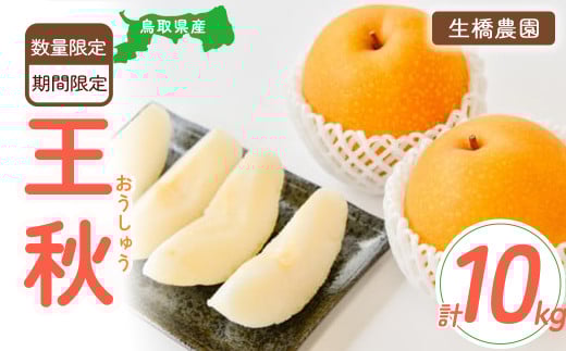 王秋 10kg（生橋農園） 鳥取県産 梨 鳥取 果物 フルーツ 王秋 和梨 先行予約 数量限定 詰め合わせ 今が旬 甘い 人気