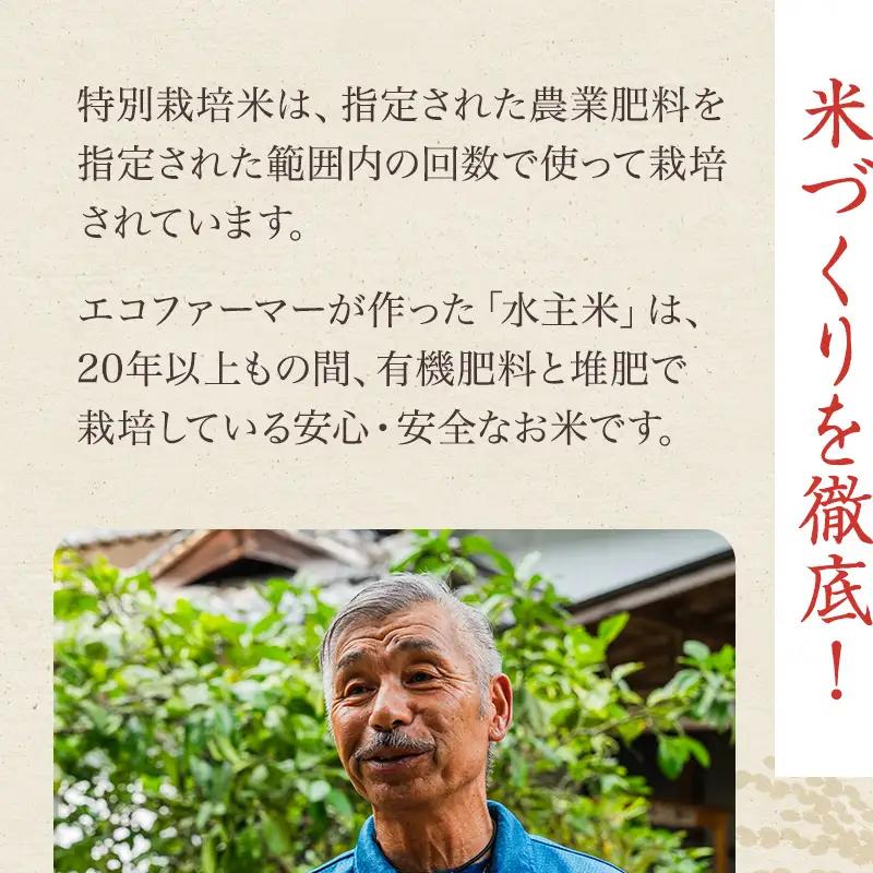 コシヒカリ 水主米 地域ブランド米 コシヒカリ【玄米10kg】