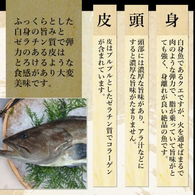 ふるさと納税 松浦市 鷹島のうまかクエ鍋用　2〜3人前 |  | 01
