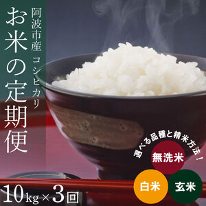 定期便 3回 米 コシヒカリ 10kg 令和6年産 米 こめ ご飯 ごはん おにぎり 白米 精米 卵かけご飯 食品 備蓄 備蓄米 保存 防災 ギフト 贈答 プレゼント お取り寄せ グルメ 送料無料 徳島県 阿波市 栗栖農園