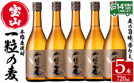 No.912 一粒の麦(720ml×5本)焼酎 麦焼酎 酒 アルコール 麦 家飲み 宅飲み 大麦 大麦麹 セット 常温 常温保存【西酒造】