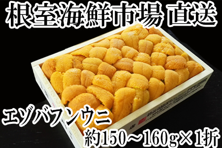 根室海鮮市場[直送]エゾバフンウニ(黄系)約150～160g×1折 C-28027
